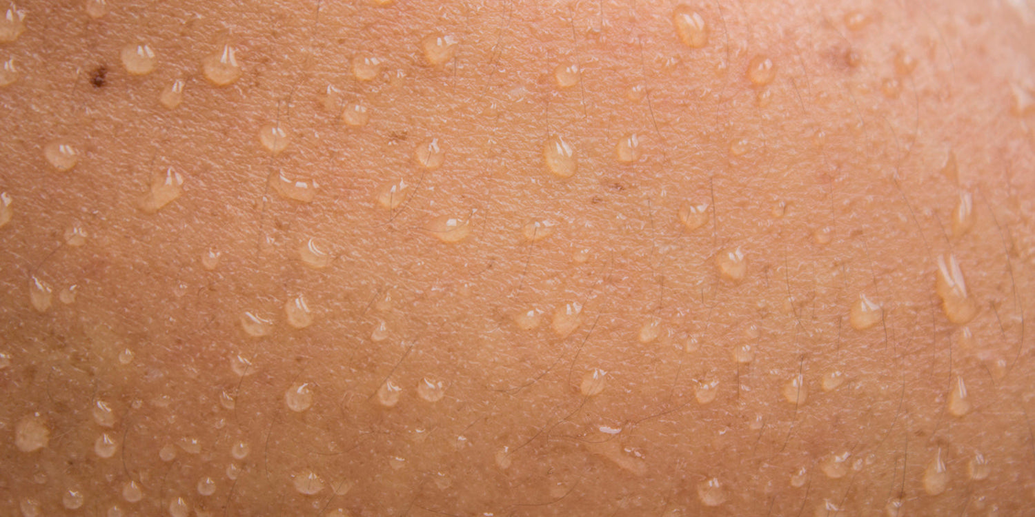 מהן בלוטות זיעה?